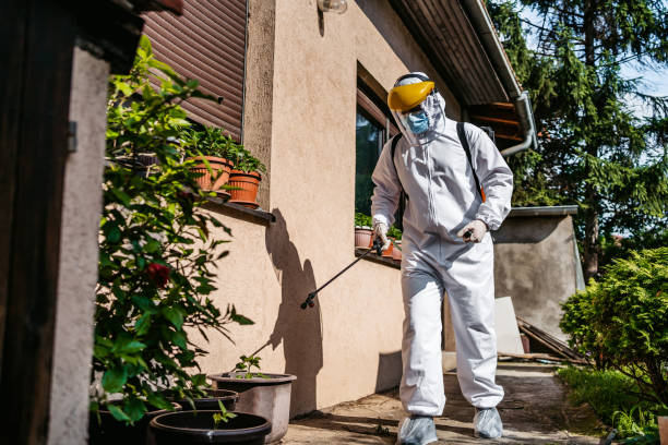 Best Pest Control Near Me in Eldorado At Santa Fe, NM