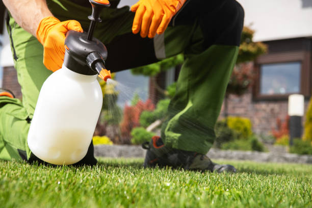 Best Mosquito Control Services  in Eldorado At Santa Fe, NM